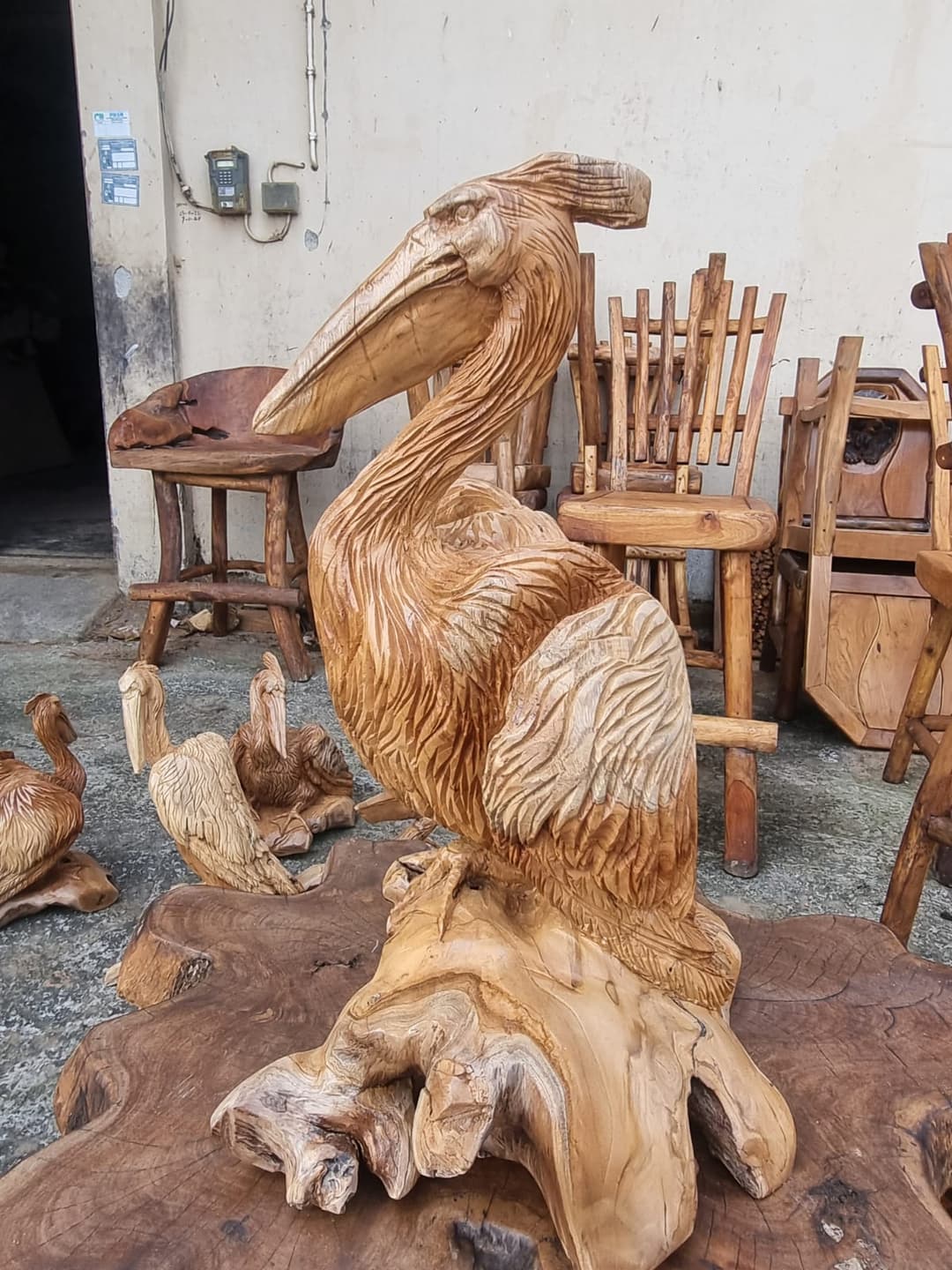 Teak Root Product 7