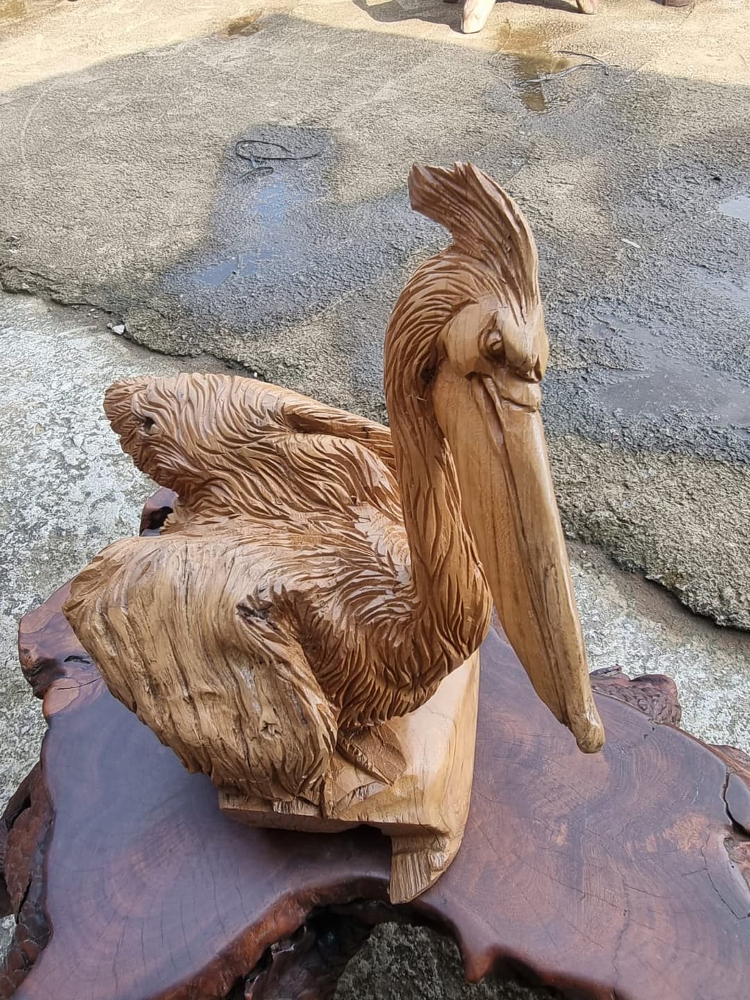 Teak Root Product 11