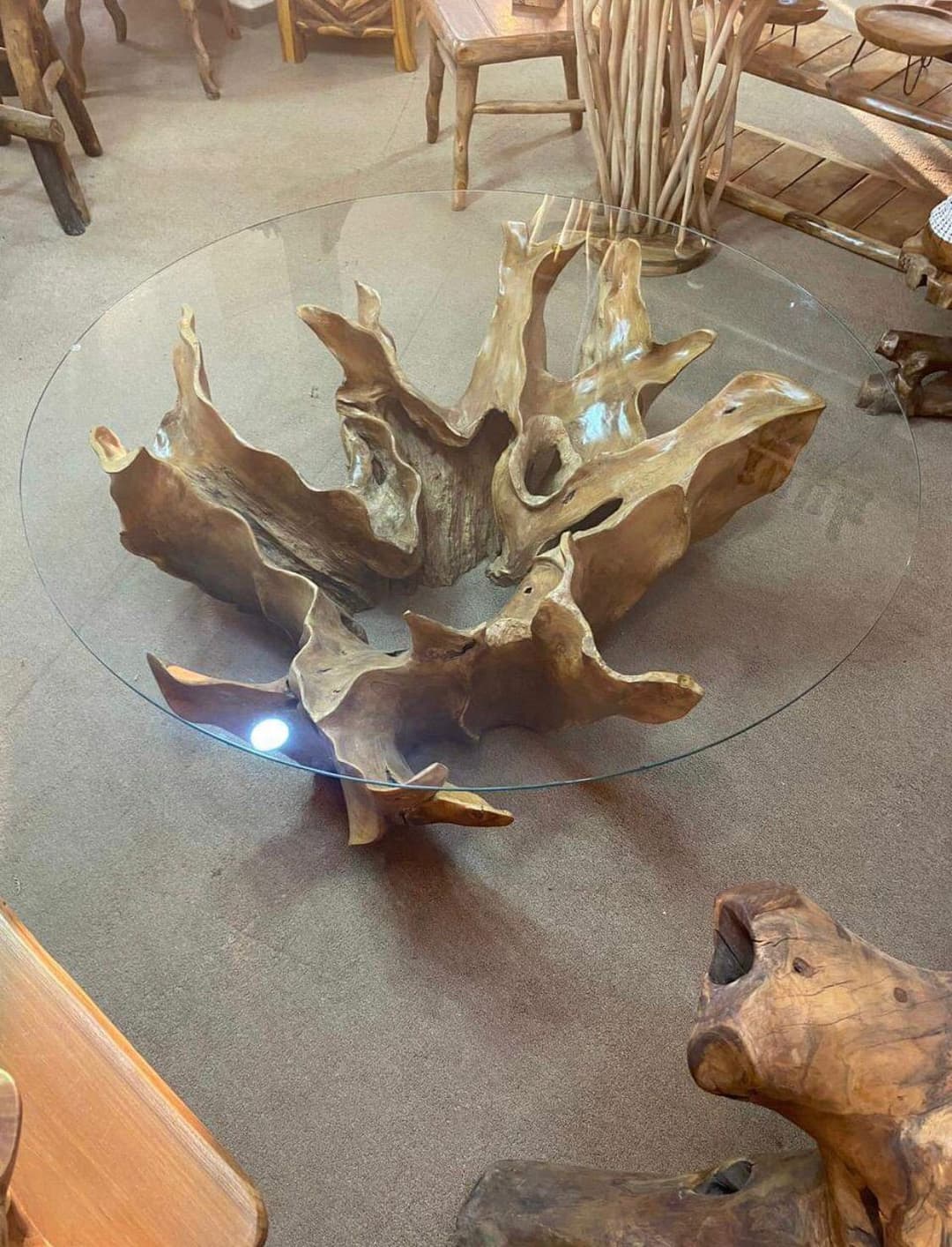 Teak Root Product 15