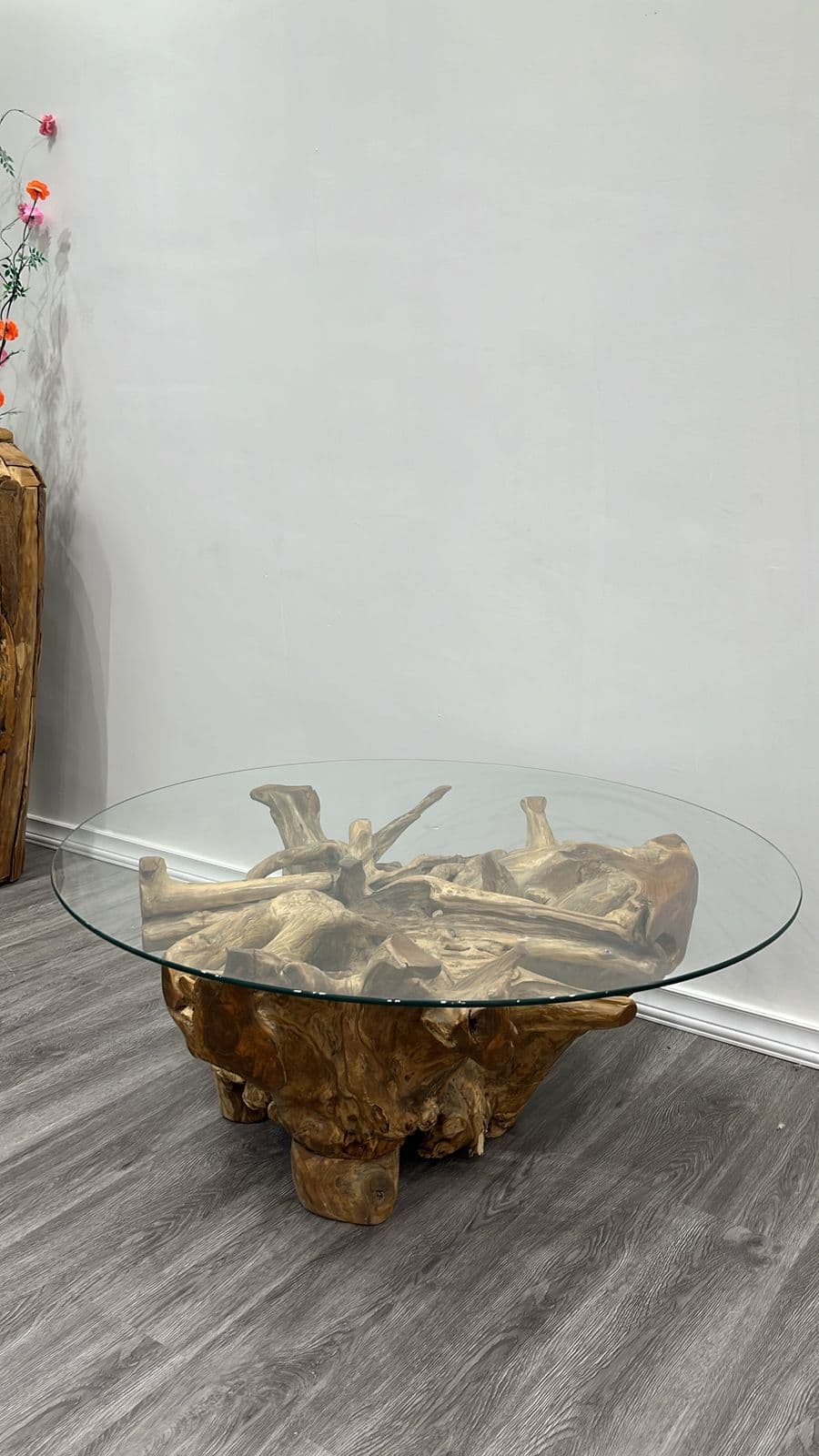 Teak Root Product 23