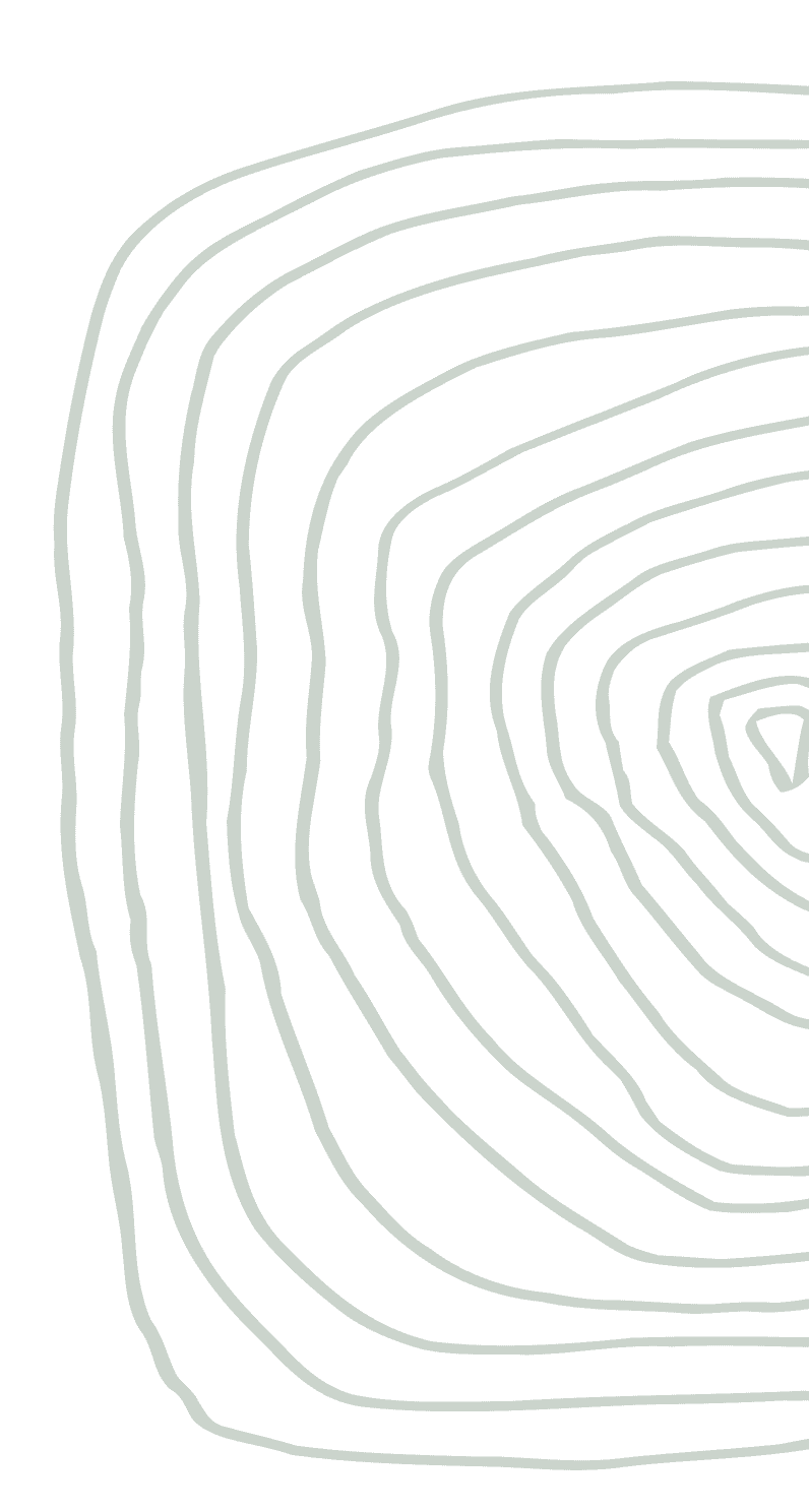 Background Taek Root