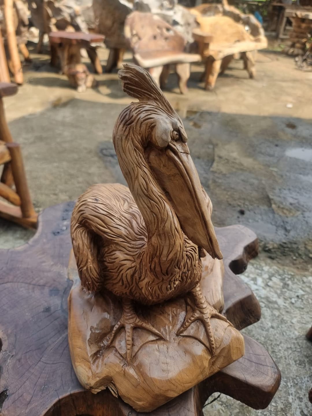 Teak Root Product 31